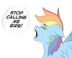 Size: 1197x961 | Tagged: safe, artist:owlnon, color edit, edit, editor:dashiswaifu69, imported from derpibooru, rainbow dash, pegasus, pony, birb, birb in the comments, colored, crying, crying aya asagiri, despair, drawthread, eyes closed, floppy ears, meme, misery, open mouth, ponified meme, sad, solo, speech bubble, tempting fate