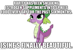 Size: 725x500 | Tagged: safe, artist:tjpones edits, edit, imported from derpibooru, rarity, spike, dragon, abuse, barb, barbabetes, caption, comments locked down, cringe comedy, cute, cute little fangs, dragoness, estrogen, exploitable meme, fangs, female, floating heart, forced feminization, graveyard of comments, heart, image macro, imgflip, impact font, implied rarity, meme, op is a duck, op is trying to start shit, op is trying to start shit so badly that it's kinda funny, rule 63, rule63betes, simple background, solo, spikeabuse, text, transgender, white background