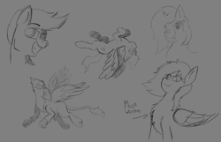 Size: 2800x1800 | Tagged: safe, artist:somber, imported from derpibooru, oc, oc only, oc:high flyer, griffon, pegasus, pony, female, fluffy, happy, male, mare, sketch, smiling, smug, stallion