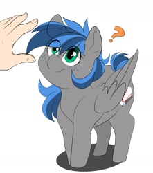 Size: 1243x1407 | Tagged: safe, artist:littlebibbo, imported from derpibooru, imported from ponybooru, oc, oc only, oc:bibbo, human, pegasus, pony, confused, female, freckles, hand, imminent petting, looking at something, looking up, mare, offscreen character, question mark, reaching, smiling, solo focus