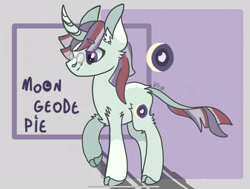 Size: 2207x1668 | Tagged: safe, artist:caramelbolt24, imported from derpibooru, oc, oc only, classical unicorn, pony, unicorn, abstract background, cloven hooves, ear fluff, glasses, leonine tail, magical lesbian spawn, male, offspring, parent:marble pie, parent:moondancer, reference sheet, signature, solo, stallion, unshorn fetlocks