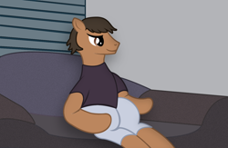 Size: 1302x847 | Tagged: artist needed, safe, imported from derpibooru, oc, oc only, earth pony, pony, clothes, couch, male, pants, shirt, sitting, smiling, solo, solo male, stallion, t-shirt