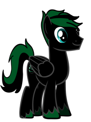 Size: 2121x2828 | Tagged: safe, artist:xboomdiersx, imported from derpibooru, oc, oc only, oc:boomdier, pegasus, pony, absurd resolution, green and black mane, green and black oc, high res, male, pegasus oc, red and black oc, simple background, solo, transparent background, unshorn fetlocks, vector, wings