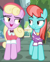 Size: 1202x1480 | Tagged: safe, imported from derpibooru, screencap, luckette, strawberry ice, earth pony, pony, fake it 'til you make it, cropped, duo, female, looking at each other, mare