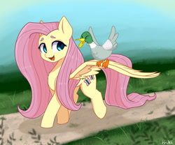 Size: 3000x2500 | Tagged: safe, artist:bunchedupletters, artist:hrukii, imported from derpibooru, fluttershy, bird, duck, pegasus, pony, bandage, chest fluff, cute, female, mare, open mouth, shyabetes, solo, spread wings, that pony sure does love animals, trace, wings