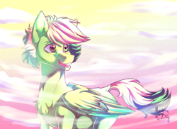 Size: 2730x1992 | Tagged: safe, artist:mysterydog121, imported from derpibooru, oc, oc only, oc:inex code, pegasus, pony, male, solo, two toned mane, two toned tail, two toned wings, wings