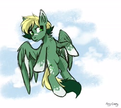 Size: 2800x2500 | Tagged: safe, artist:ami-gami, artist:amy-gamy, imported from derpibooru, oc, oc only, oc:inex code, pegasus, pony, flying, male, solo, two toned mane, two toned tail, two toned wings, wings