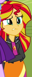 Size: 250x589 | Tagged: safe, imported from derpibooru, screencap, sunset shimmer, twilight sparkle, equestria girls, rainbow rocks, cropped