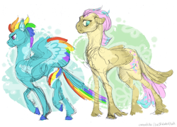 Size: 5730x4110 | Tagged: safe, artist:iceofwaterflock, imported from derpibooru, fluttershy, rainbow dash, pegasus, pony, alternate design, colored sketch, duo, sketch, unshorn fetlocks