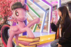 Size: 600x400 | Tagged: safe, imported from derpibooru, twilight sparkle, alicorn, human, animated, book, china, irl, irl human, photo, twilight sparkle (alicorn)