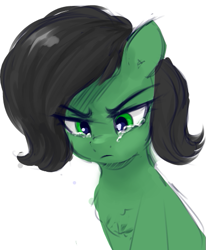 Size: 419x508 | Tagged: safe, artist:some_ponu, imported from derpibooru, oc, oc:anon, oc:filly anon, earth pony, pony, angry, crying, female, filly, simple background, solo, white background