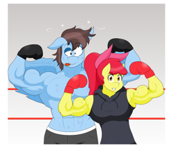 Size: 2048x1753 | Tagged: safe, artist:matchstickman, imported from derpibooru, apple bloom, oc, oc:calm wind, anthro, earth pony, pegasus, tumblr:where the apple blossoms, abs, apple bloom's bow, apple brawn, armpits, biceps, bow, boxing gloves, boxing ring, breasts, busty apple bloom, clothes, comic, derp, duo, female, flexing, hair bow, injured, looking at you, male, mare, matchstickman's apple brawn series, muscles, older, older apple bloom, partial nudity, pecs, pegasus oc, posing for photo, stallion, tongue out, topless, tumblr comic, wings