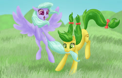 Size: 1280x820 | Tagged: safe, artist:shaslan, imported from derpibooru, apple fritter, flitter, earth pony, pegasus, pony, apple family member, duo, duo female, female, mare