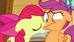 Size: 1920x1080 | Tagged: safe, imported from derpibooru, screencap, apple bloom, scootaloo, earth pony, pegasus, pony, on your marks, season 6, boop, female, filly, noseboop, now kiss, out of context