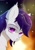 Size: 1527x2160 | Tagged: source needed, useless source url, safe, artist:delta hronum, imported from derpibooru, oc, oc only, oc:nucta, bat pony, pony, female, mare, solo