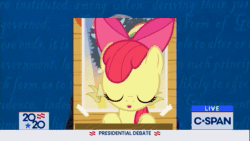 Size: 1280x720 | Tagged: safe, edit, edited screencap, editor:kanw, imported from derpibooru, screencap, apple bloom, earth pony, pony, crusaders of the lost mark, 2020 presidential election, american politics, animated, female, female focus, females only, foal, meme, politics, shitposting, shut the fuck up, solo, solo focus, sound, stfu, vulgar, webm