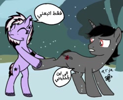 Size: 1024x833 | Tagged: safe, artist:aryasakurada, imported from derpibooru, oc, oc only, earth pony, pony, unicorn, arabic, comic, dialogue, earth pony oc, horn, outdoors, signature, snow, unicorn oc