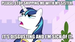 Size: 720x406 | Tagged: safe, edit, edited screencap, imported from derpibooru, screencap, shining armor, pony, unicorn, caption, image macro, imgflip, implied incest, implied infidelity, implied shiningsparkle, implied shipping, implied straight, implied twilight sparkle, male, stallion, text