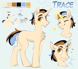 Size: 1135x1000 | Tagged: safe, artist:trickate, imported from derpibooru, oc, oc only, oc:trace, pony, unicorn, eyes closed, male, reference sheet, solo, stallion