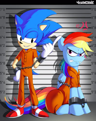 Size: 1376x1739 | Tagged: safe, artist:ichimoral, imported from derpibooru, rainbow dash, hedgehog, pegasus, pony, bound wings, chains, clothes, cuffs, frustrated, line-up, prison outfit, prisoner, prisoner rd, shackles, smug, sonic the hedgehog, sonic the hedgehog (series), wings