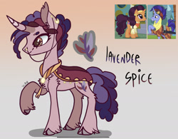 Size: 2135x1668 | Tagged: safe, artist:caramelbolt24, imported from derpibooru, hoo'far, saffron masala, oc, oc:lavender spice, earth pony, pony, unicorn, abstract background, clothes, cloven hooves, crack ship offspring, ear fluff, female, male, mare, nose chains, offspring, parent:hoo'far, parent:saffron masala, parents:saf'far, raised hoof, screencap reference, signature, stallion