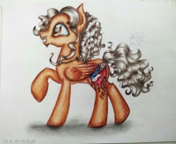 Size: 1024x837 | Tagged: safe, artist:maryhoovesfield, imported from derpibooru, oc, oc only, pegasus, pony, ear fluff, grin, pegasus oc, raised hoof, signature, smiling, solo, traditional art, wings