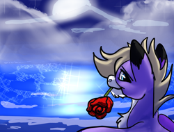 Size: 2048x1556 | Tagged: safe, artist:brainiac, imported from derpibooru, oc, oc only, oc:foxtrot, pegasus, pony, unicorn, flower, flower in mouth, male, mouth hold, rose, rose in mouth, solo, stallion