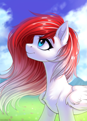 Size: 700x980 | Tagged: safe, artist:hakaina, imported from derpibooru, oc, oc only, oc:making amends, pegasus, pony, chest fluff, commission, concave belly, slim, solo, thin, windswept mane, ych result