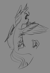 Size: 2062x3000 | Tagged: safe, artist:archonix, derpibooru exclusive, imported from derpibooru, twilight sparkle, alicorn, pony, facing away, grayscale, grooming, monochrome, preening, simple background, sketch, solo, twilight sparkle (alicorn), wings