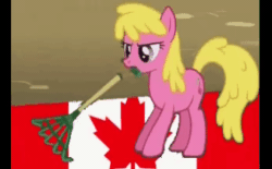 Size: 346x214 | Tagged: safe, edit, edited screencap, imported from derpibooru, screencap, cherry berry, animated, canadian flag, looking down, politics, rake