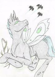 Size: 2072x2894 | Tagged: safe, artist:cindertale, imported from derpibooru, oc, oc only, changeling, pegasus, changeling oc, flying, high res, looking up, pegasus oc, traditional art, wings