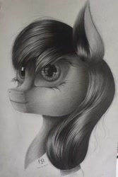 Size: 1080x1618 | Tagged: safe, imported from derpibooru, earth pony, pony, monochrome, photo, sketch