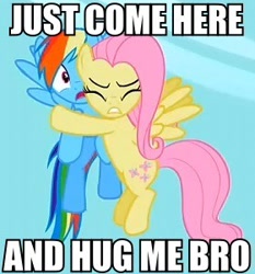 Size: 280x300 | Tagged: safe, edit, edited screencap, imported from derpibooru, screencap, fluttershy, rainbow dash, pegasus, pony, season 2, secret of my excess, cropped, hug, meme