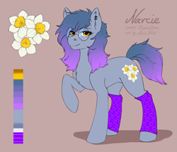 Size: 3655x3125 | Tagged: safe, artist:alexispaint, imported from derpibooru, oc, oc only, oc:narcie, earth pony, pony, clothes, cutie mark, female, glasses, high res, mare, piercing, reference sheet, socks, solo, standing