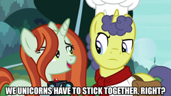 Size: 1280x720 | Tagged: safe, edit, edited screencap, editor:jaredking203, imported from derpibooru, screencap, crackle cosette, queen chrysalis, stove comet, pony, unicorn, the ending of the end, bag, camera, caption, disguise, disguised changeling, female, image macro, male, mare, meme, saddle bag, stallion, text