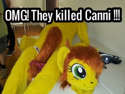 Size: 2592x1944 | Tagged: safe, artist:atalonthedeer, imported from derpibooru, oc, oc:canni soda, fursuit, galacon, irl, mascot, oh my god they killed kenny, photo, pun, south park