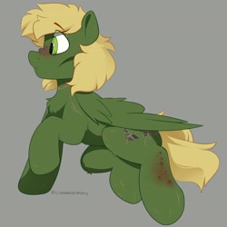 Size: 3240x3240 | Tagged: safe, artist:crimmharmony, imported from derpibooru, oc, oc only, oc:murky, pegasus, pony, fallout equestria, fallout equestria: murky number seven, fanfic art, high res, simple background, solo