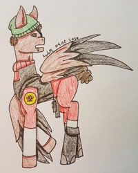 Size: 2215x2774 | Tagged: safe, artist:agdapl, imported from derpibooru, pegasus, pony, clothes, crossover, demoman, hat, high res, looking back, male, ponified, signature, solo, stallion, team fortress 2, traditional art, wings
