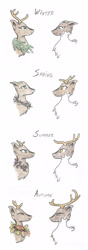 Size: 1172x3332 | Tagged: safe, artist:cindertale, imported from derpibooru, oc, oc only, oc:petra, deer, antlers, bust, deer oc, simple background, traditional art, white background