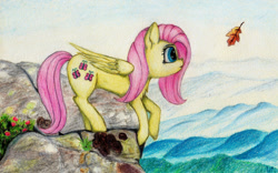 Size: 1280x800 | Tagged: safe, artist:myzanil, imported from derpibooru, fluttershy, pegasus, pony, cliff, colored pencil drawing, curious, cute, daaaaaaaaaaaw, flower, grass, leaf, leaning forward, looking forward, mist, mountain, outdoors, scenery, shyabetes, sky, solo, standing, traditional art