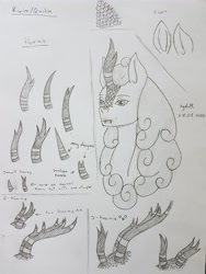 Size: 2578x3437 | Tagged: safe, artist:agdapl, imported from derpibooru, oc, oc only, kirin, bust, grayscale, high res, horn, kirin oc, monochrome, reference sheet, signature, traditional art