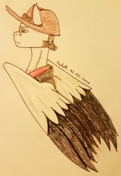 Size: 2284x3309 | Tagged: safe, artist:agdapl, imported from derpibooru, pegasus, pony, bust, clothes, crossover, frown, hat, high res, male, ponified, signature, sniper, solo, stallion, sunglasses, team fortress 2, traditional art, two toned wings, wings