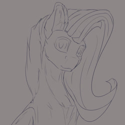 Size: 1600x1600 | Tagged: safe, artist:tenebrisnoctus, imported from derpibooru, fluttershy, pegasus, pony, bust, grayscale, monochrome, solo