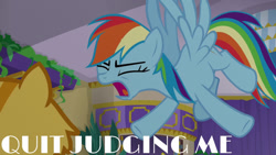 Size: 1280x720 | Tagged: safe, edit, edited screencap, editor:quoterific, imported from derpibooru, screencap, rainbow dash, cat, pegasus, pony, grannies gone wild, eyes closed, female, mare, open mouth, solo, wings