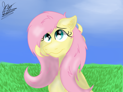 Size: 2743x2057 | Tagged: safe, artist:jay_wackal, imported from derpibooru, fluttershy, pegasus, pony, clip studio paint, cute, high res, outdoors, painting, solo