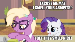 Size: 888x499 | Tagged: safe, edit, edited screencap, imported from derpibooru, screencap, grace manewitz, rarity, earth pony, pony, unicorn, rarity takes manehattan, armpit fetish, caption, female, fetish, glasses, image macro, mare, meme, text