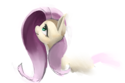 Size: 1500x1000 | Tagged: safe, artist:usager, imported from derpibooru, fluttershy, pony, simple background, solo, white background