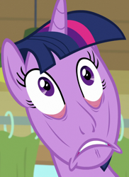 Size: 786x1080 | Tagged: safe, imported from derpibooru, screencap, twilight sparkle, alicorn, pony, season 9, the point of no return, spoiler:s09, close-up, creepy, cropped, cursed image, faic, female, great moments in animation, horrifying, jesus christ how horrifying, mare, png, solo, twilight sparkle (alicorn), twilight sparkle is best facemaker, wat, what has science done, why the long face, wtf