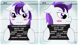 Size: 1564x900 | Tagged: safe, artist:fskindness, imported from derpibooru, oc, oc only, oc:puff smarts, blushing, commission, cute, eyebrows, eyelashes, femboy, floppy ears, frown, hoof hold, male, multicolored mane, police state, purple eyes, purple mane, solo, stallion, white coat
