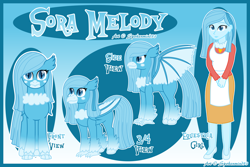 Size: 4500x3000 | Tagged: safe, artist:spokenmind93, imported from derpibooru, oc, oc only, oc:sora melody, bat pony, hippogriff, hybrid, equestria girls, bat pony oc, bat wings, fluffy wings, hippogriff oc, neck fluff, reference sheet, ribbon, solo, wing fluff, wings